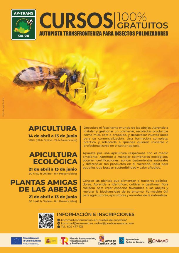 Cursos de autopista transfronteriza para insectos polinizadores