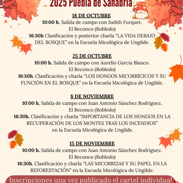 Fiesta de las Victorias 2025