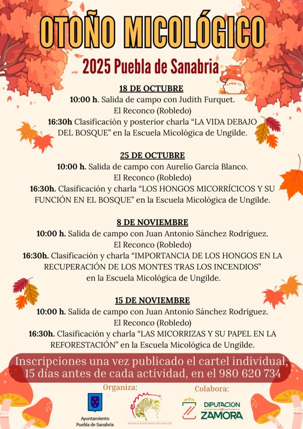 Fiesta de las Victorias 2025